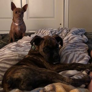 Meet your Posher, Anna